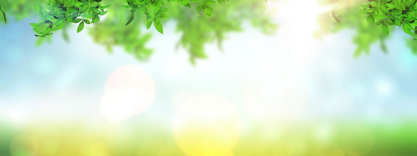 Cesan Walnuts | Baked Walnut