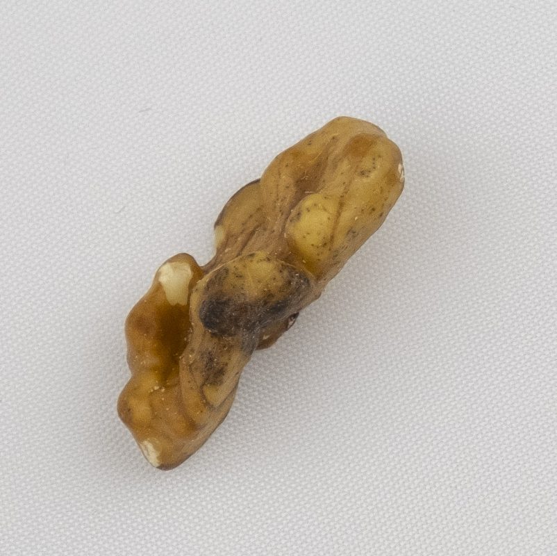 Cesan Walnuts | Baked Walnut