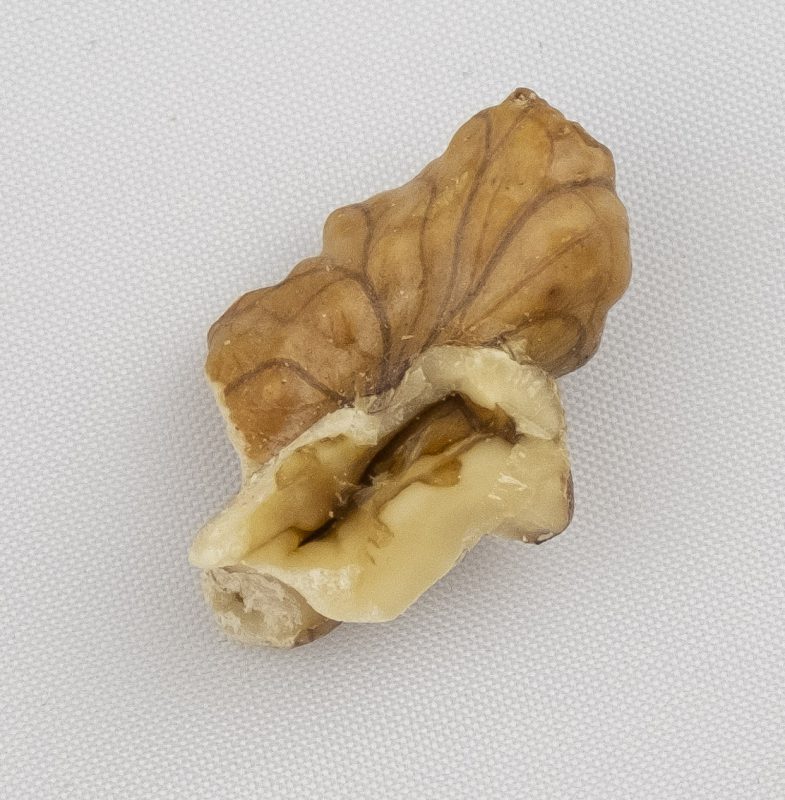 Cesan Walnuts | Baked Walnut