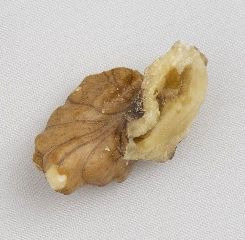 Cesan Walnuts | Baked Walnut