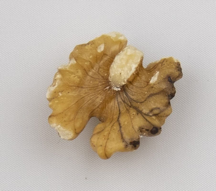 Cesan Walnuts | Baked Walnut