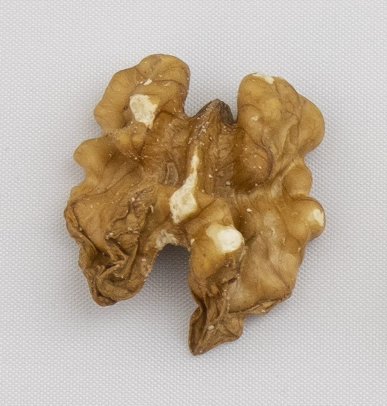 Cesan Walnuts | Baked Walnut