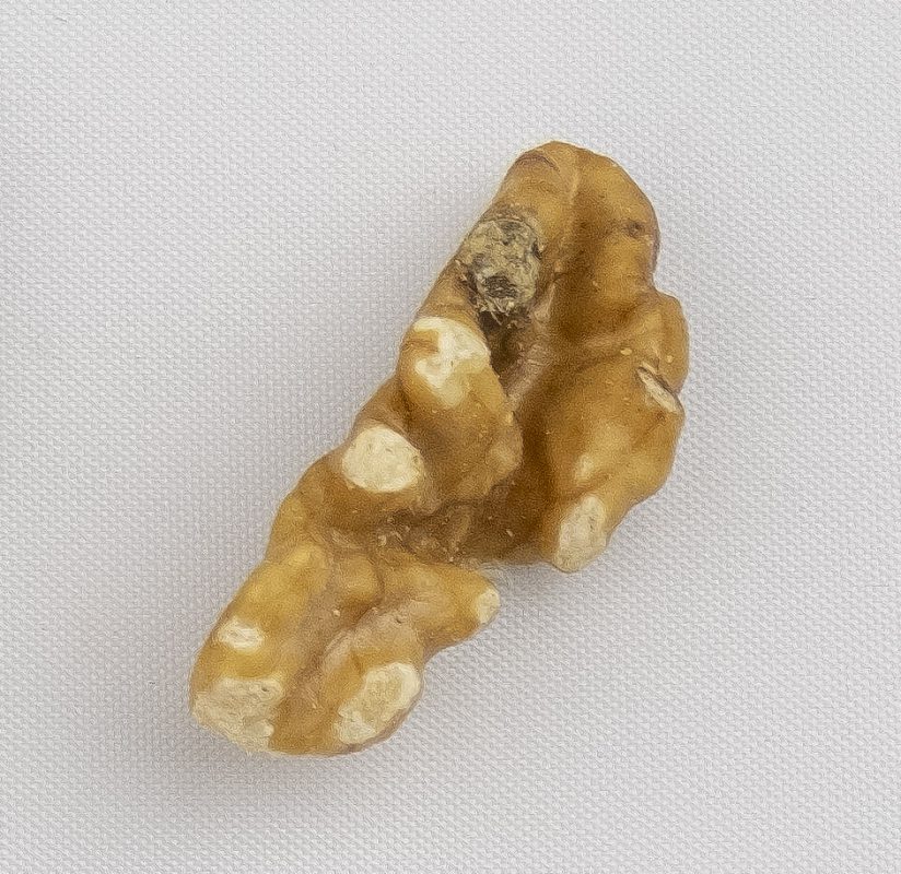 Cesan Walnuts | Baked Walnut