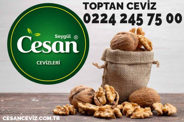 toptan ceviz