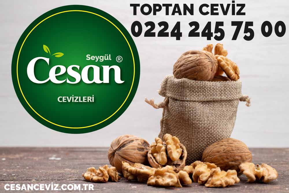 toptan ceviz